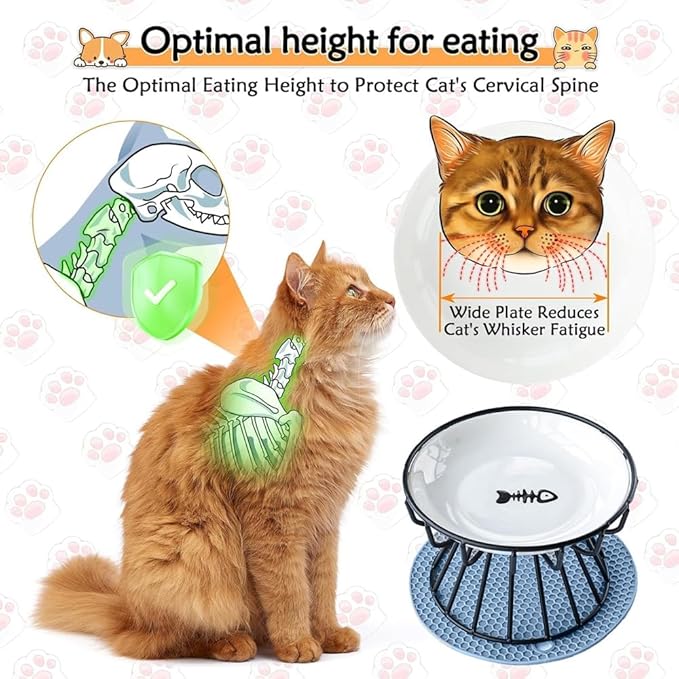 Raised Ceramic Pet Bowl