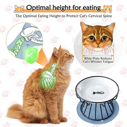 Raised Ceramic Pet Bowl