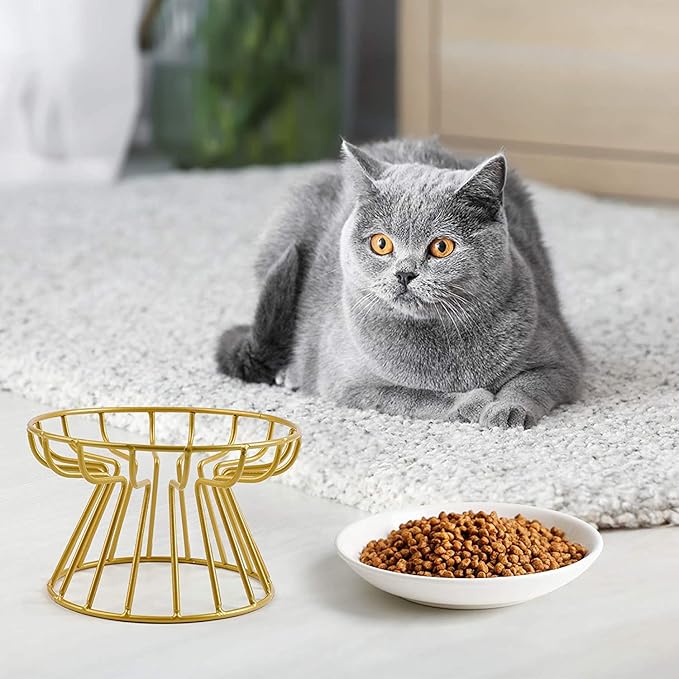 Raised Ceramic Pet Bowl