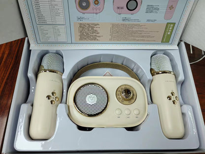 Mini Karaoke Set